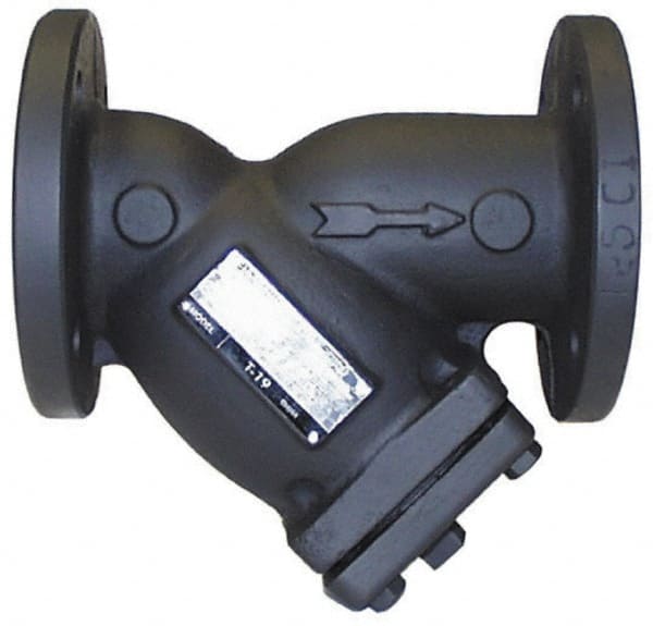 LEGEND VALVE 2 Pipe, Flanged Ends, Cast Iron YStrainer