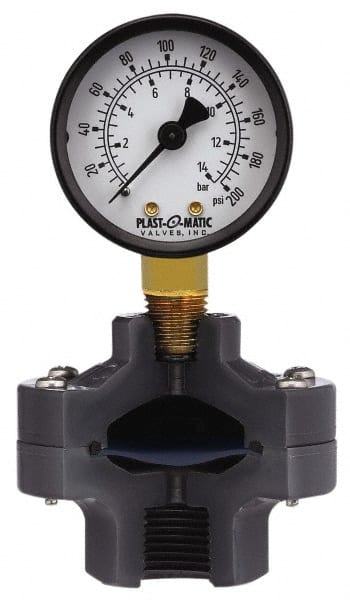 PLAST-O-MATIC 200 Max psi, 2 Inch Dial Diameter, PVC Pressure Gauge Guard and Isolator