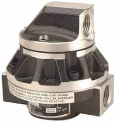 GPI 1/2 FNPT Port Oval Gear Flowmeter