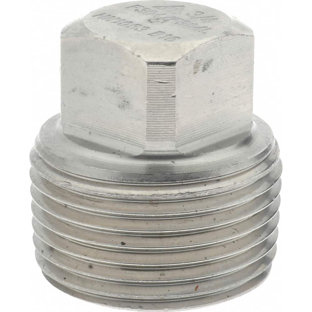 MERIT BRASS 3/4 304/304L Stainless Steel Pipe Square Head Plug