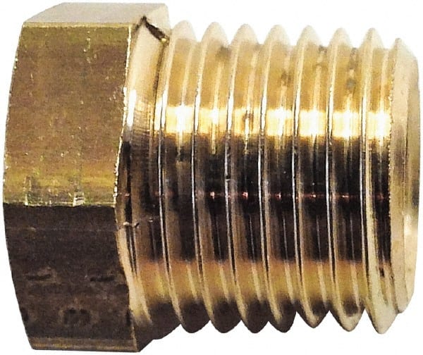 LEGRIS 1/2 Male Thread x 3/8 Female Thread, Brass Industrial Pipe Hex Bushing