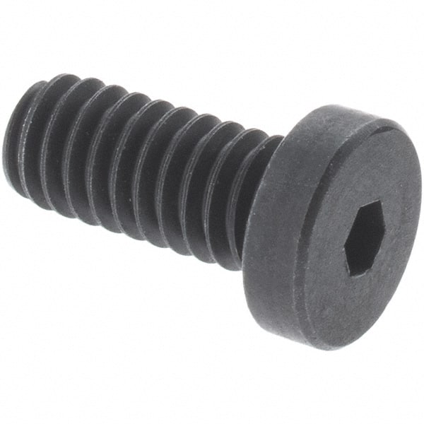HOLO-KROME M10x1.50, 40mm Long, Metric Coarse Hex Low Socket Cap Screw